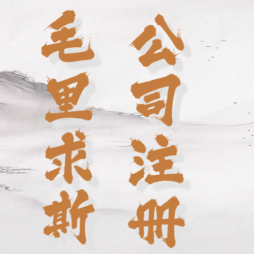 毛里求斯公司注册.png